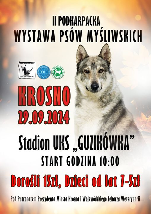 II Podkarpacka Wystawa Psów Myśliwskich