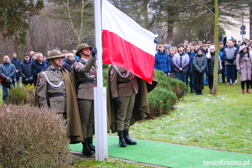 obchody w Krośnie