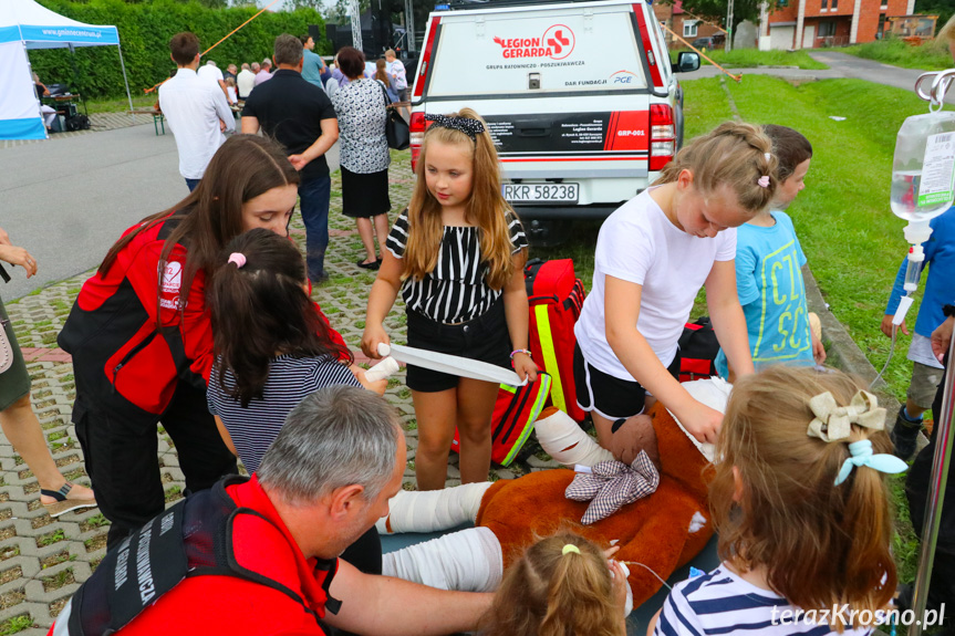 piknik Rozaliada