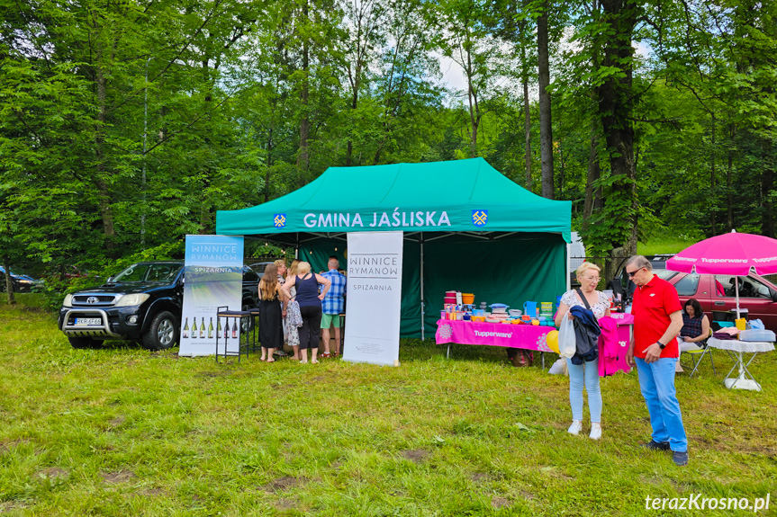 10. Piknik Rodzinny w Rymanowie-Zdroju