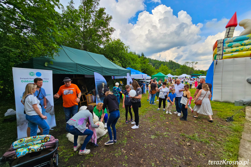 10. Piknik Rodzinny w Rymanowie-Zdroju