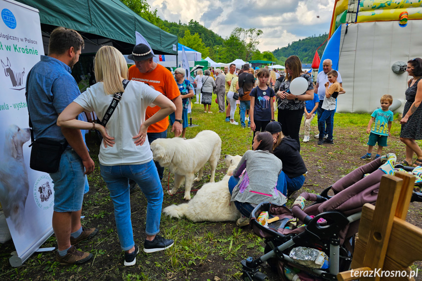 10. Piknik Rodzinny w Rymanowie-Zdroju