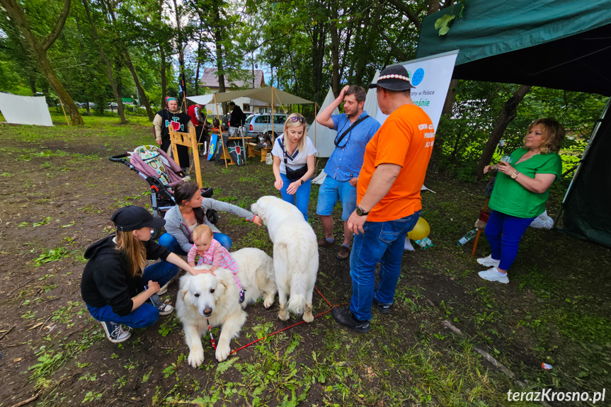 10. Piknik Rodzinny w Rymanowie-Zdroju