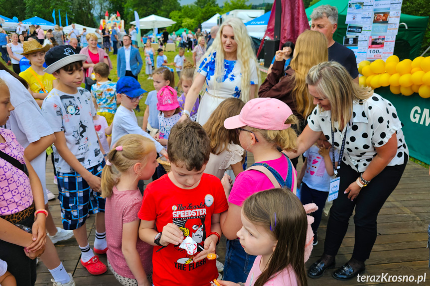 10. Piknik Rodzinny w Rymanowie-Zdroju