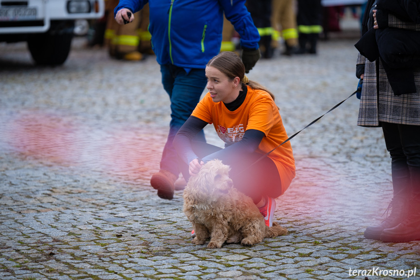 11. Bieg WOŚP "Policz się z cukrzycą" 2024