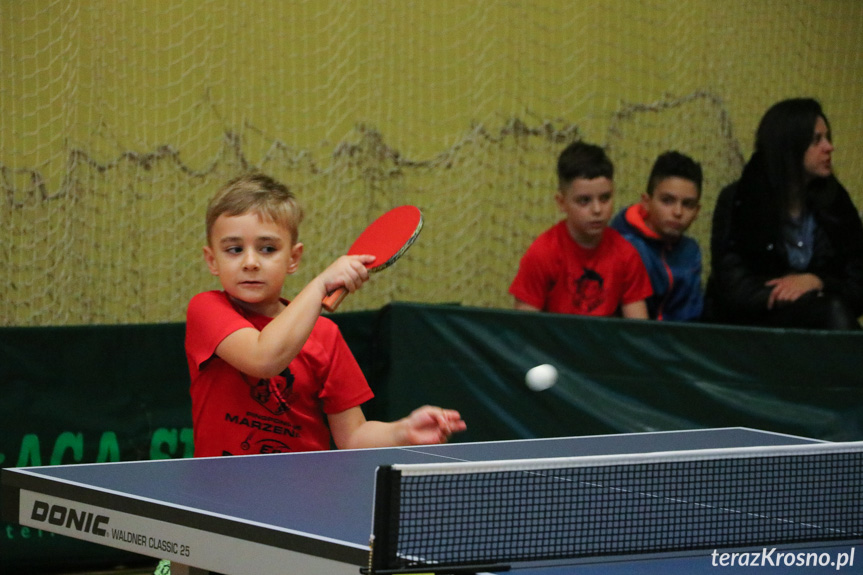 2. Grand Prix Podkarpacia w tenisie stołowym