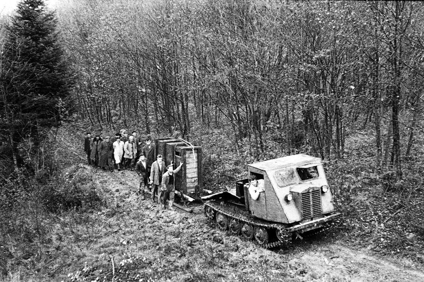 60 lat od powrotu żubra w Bieszczady 