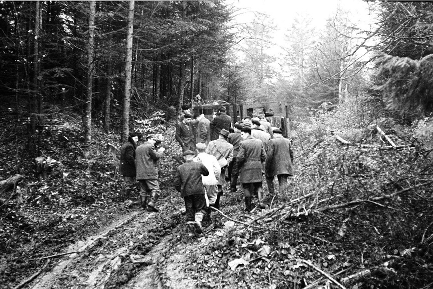 60 lat od powrotu żubra w Bieszczady 