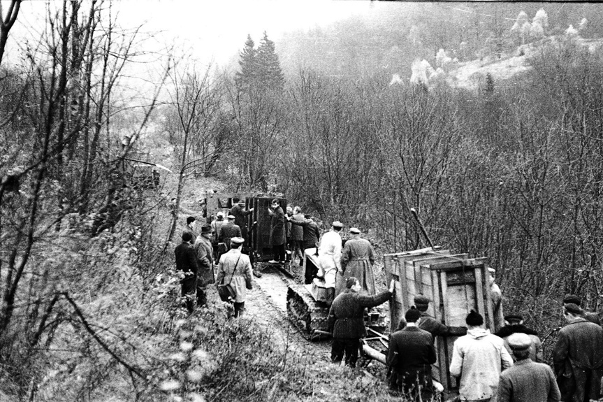 60 lat od powrotu żubra w Bieszczady 