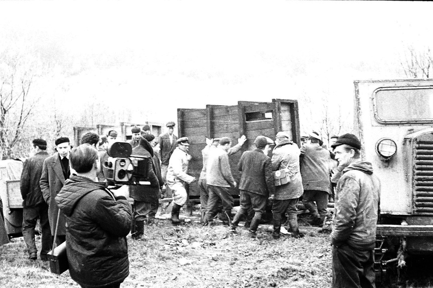 60 lat od powrotu żubra w Bieszczady 