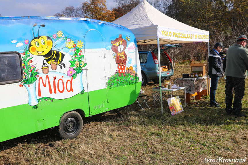 Akcja Czyste, Zielone Miasta