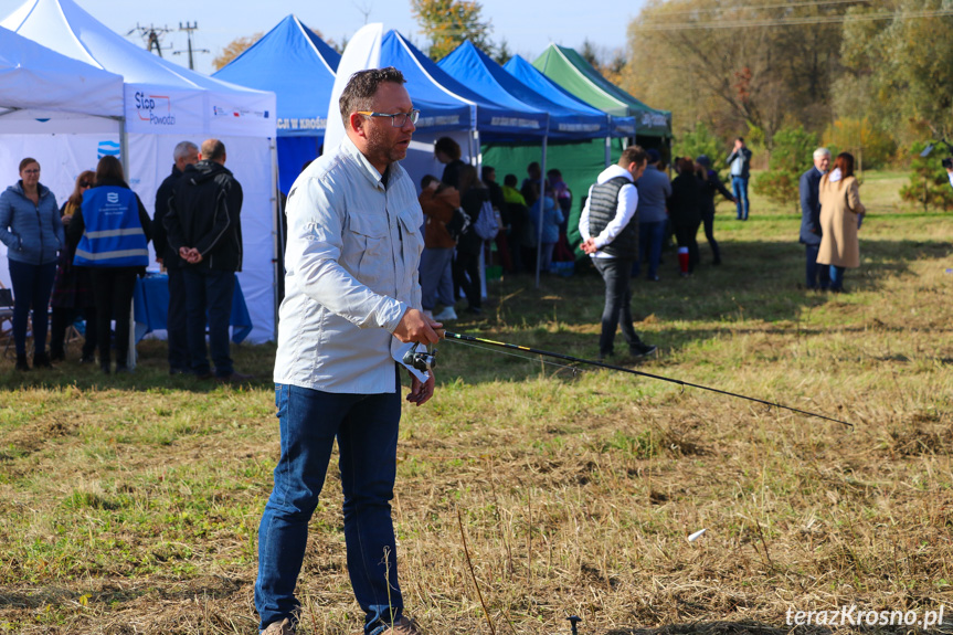 Akcja Czyste, Zielone Miasta