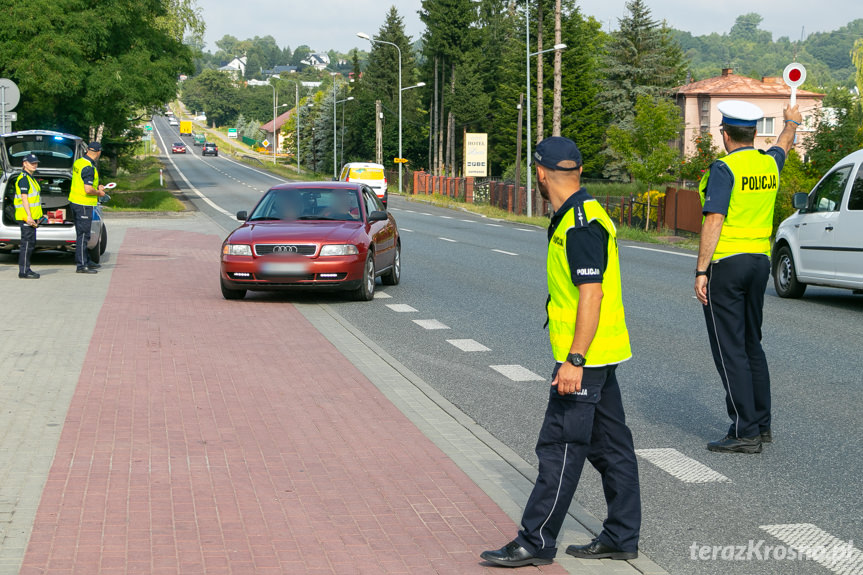 Akcja policji i pracowników MKRPA