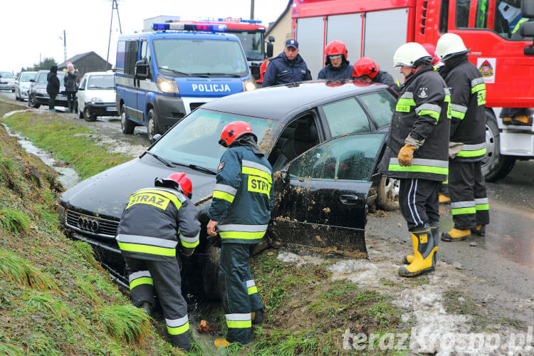 Audi w rowie w Łękach Dukielskich