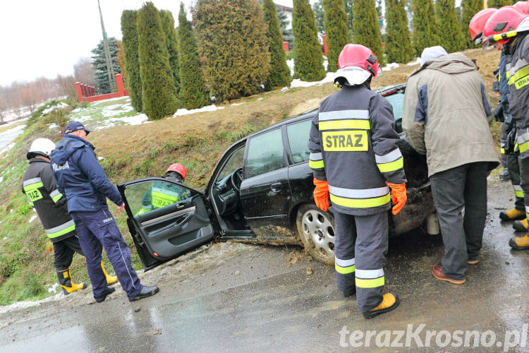 Audi w rowie w Łękach Dukielskich