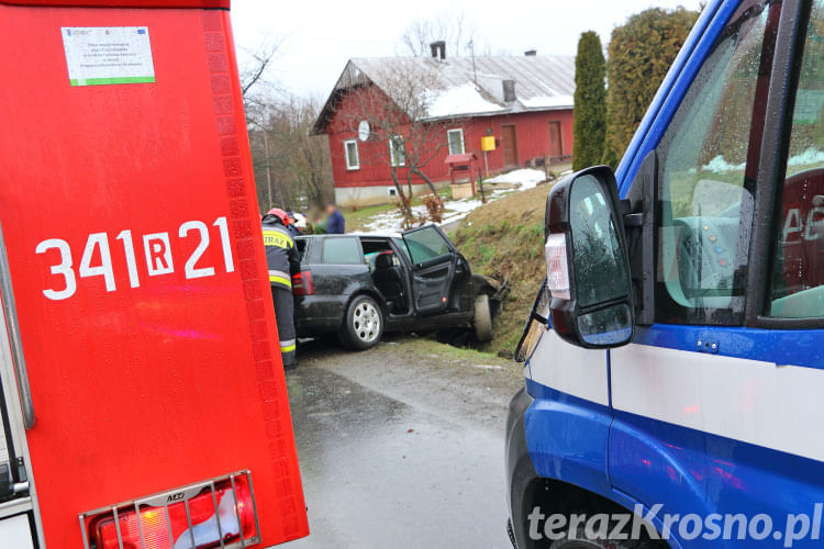 Audi w rowie w Łękach Dukielskich