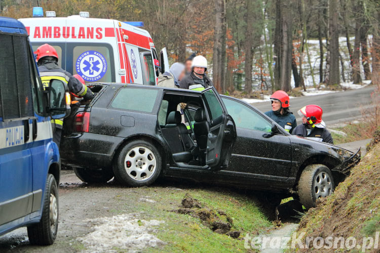 Audi w rowie w Łękach Dukielskich