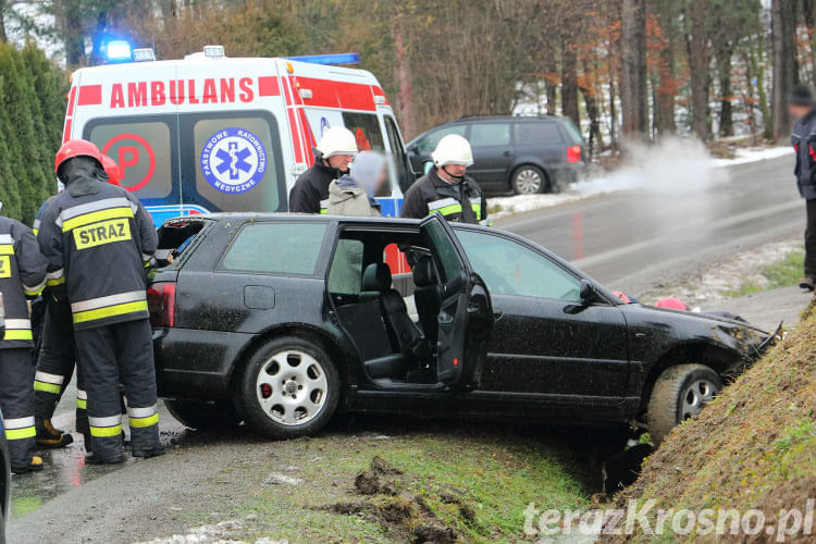 Audi w rowie w Łękach Dukielskich