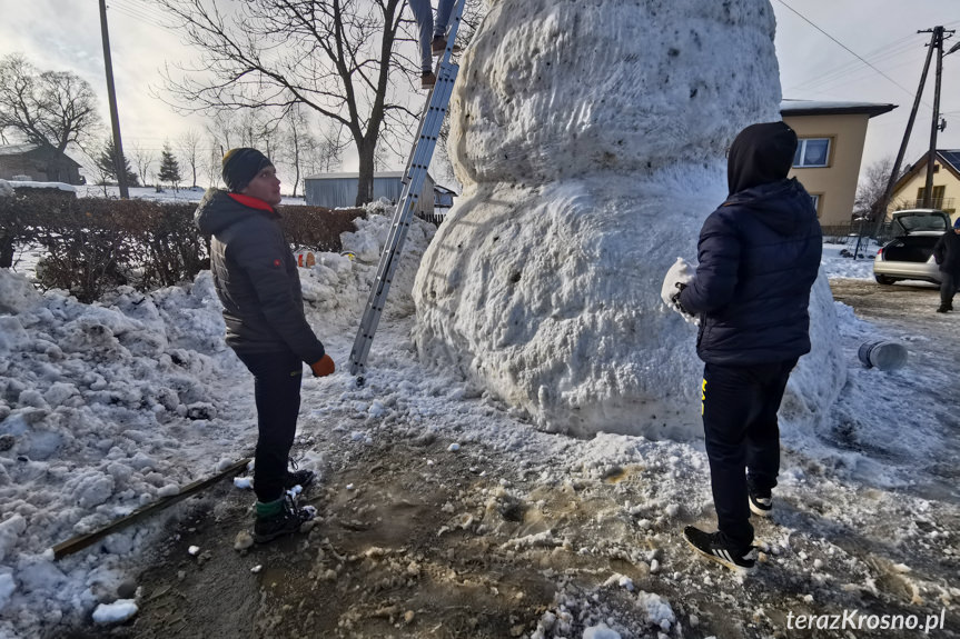 Bałwan gigant w Faliszówce