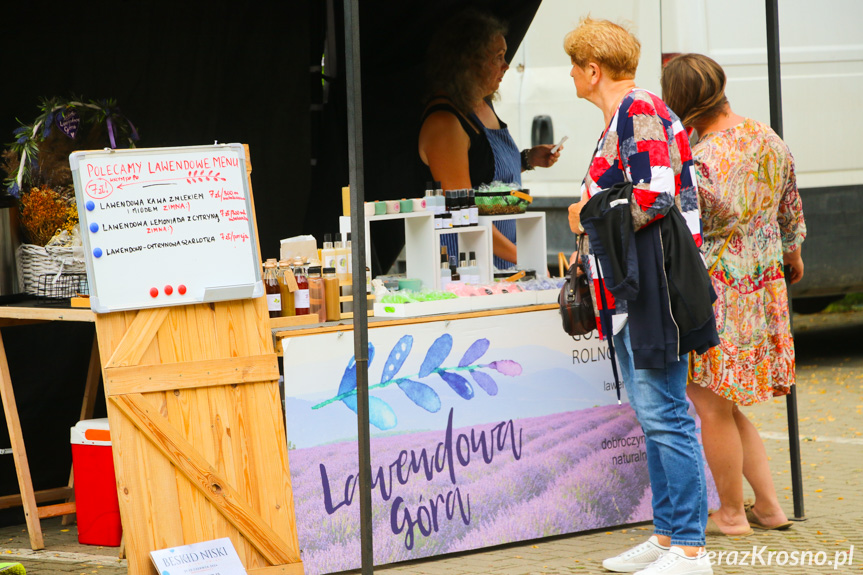 Beskid Niski. Zaginiony Świat - impreza w Rymanowie-Zdroju