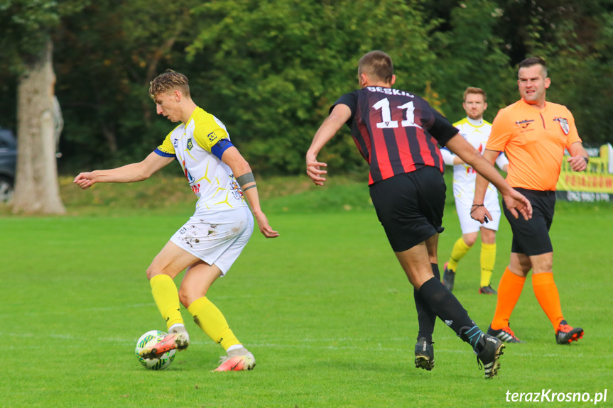 Beskid Posada Górna - Iskra Wróblik Szlachecki 2:4