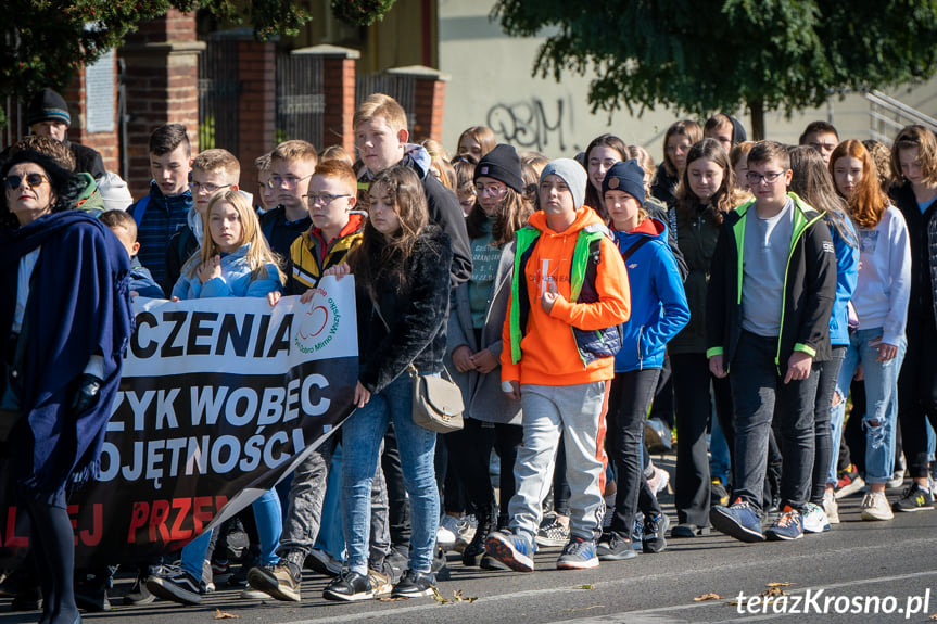 Biały Marsz Milczenia w Krośnie