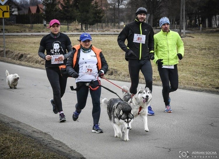 Bieg Pamięci Żołnierzy Wyklętych Tropem Wilczym w Żeglcach