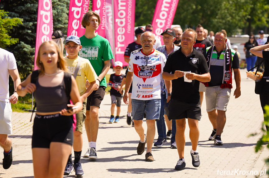 Cellfast Wilki Krosno - Arged Malesa Ostrów Wlkp.