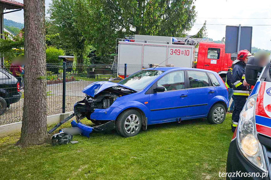 Cergowa. Uderzył w drzewo