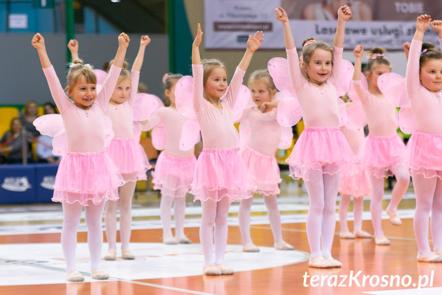 Cheerleaders Fragolin - Miasto Szkła Krosno - Stelmet Zielona Góra