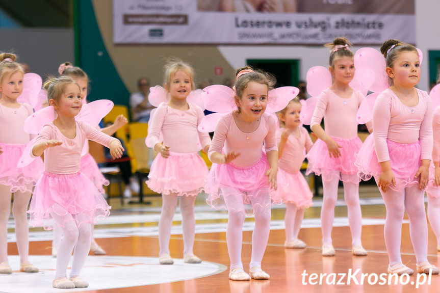 Cheerleaders Fragolin - Miasto Szkła Krosno - Stelmet Zielona Góra