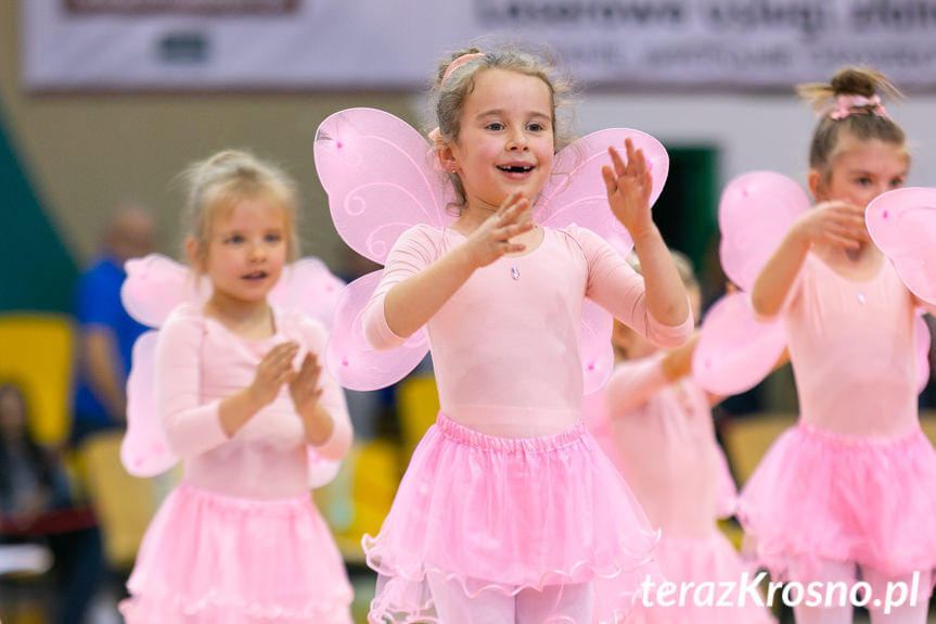 Cheerleaders Fragolin - Miasto Szkła Krosno - Stelmet Zielona Góra