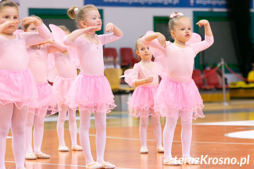 Cheerleaders Fragolin - Miasto Szkła Krosno - Stelmet Zielona Góra