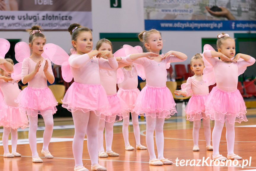 Cheerleaders Fragolin - Miasto Szkła Krosno - Stelmet Zielona Góra