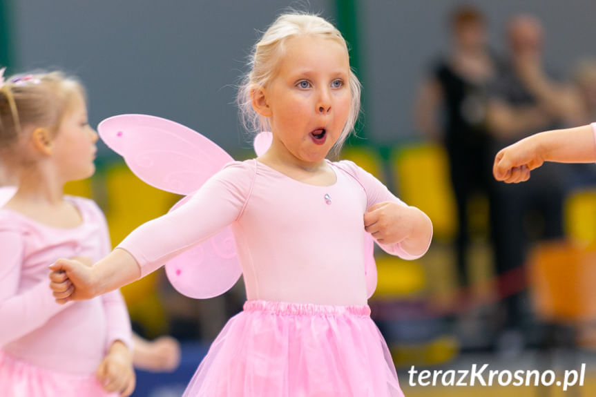 Cheerleaders Fragolin - Miasto Szkła Krosno - Stelmet Zielona Góra