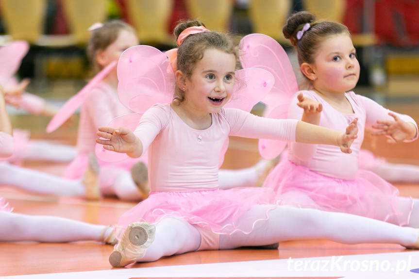 Cheerleaders Fragolin - Miasto Szkła Krosno - Stelmet Zielona Góra