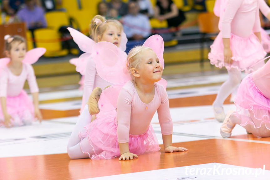 Cheerleaders Fragolin - Miasto Szkła Krosno - Stelmet Zielona Góra