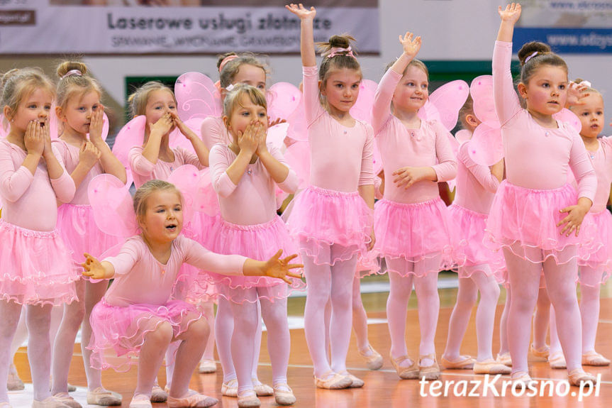 Cheerleaders Fragolin - Miasto Szkła Krosno - Stelmet Zielona Góra