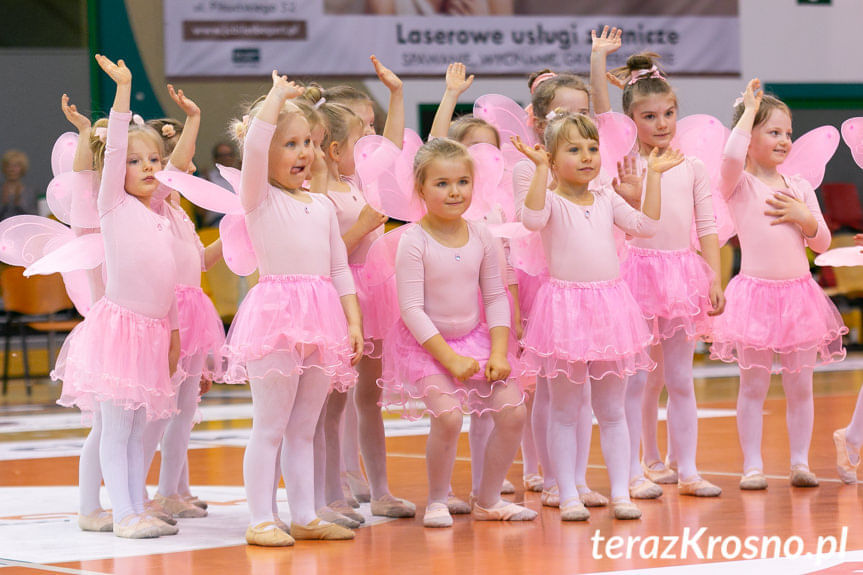 Cheerleaders Fragolin - Miasto Szkła Krosno - Stelmet Zielona Góra