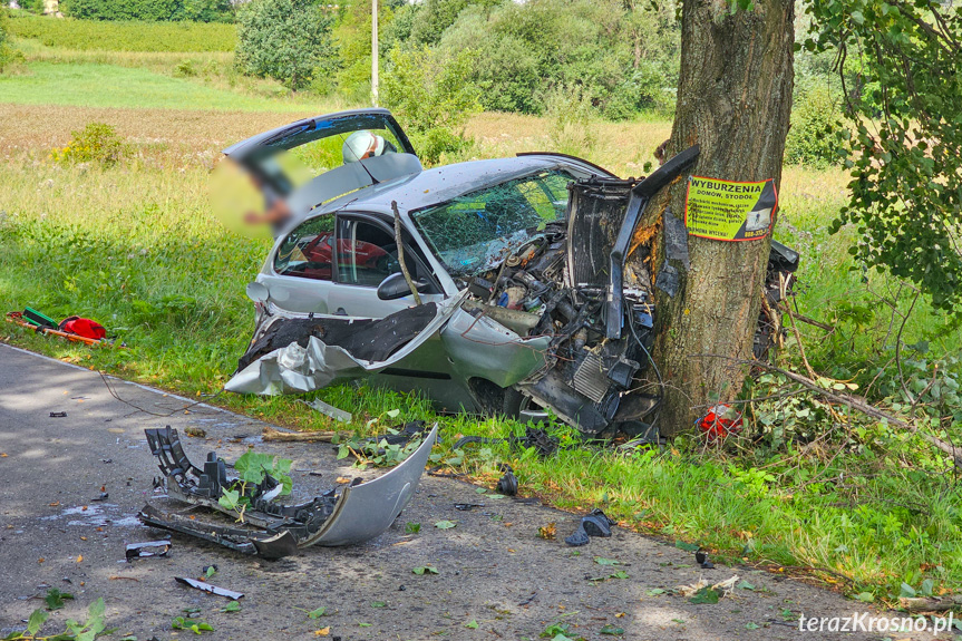 Chorkówka. Samochód uderzył w drzewo