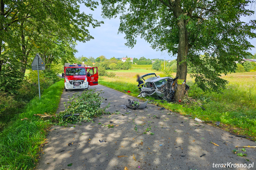 Chorkówka. Samochód uderzył w drzewo