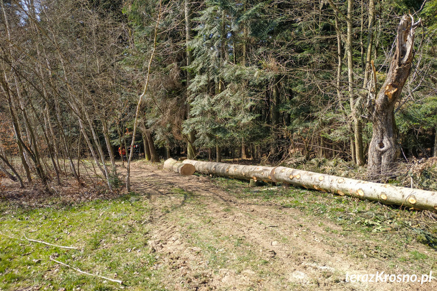 Ciągnik przygniótł traktorzystę