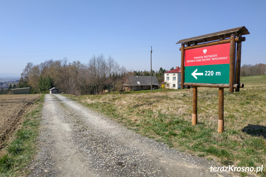 Ciągnik przygniótł traktorzystę