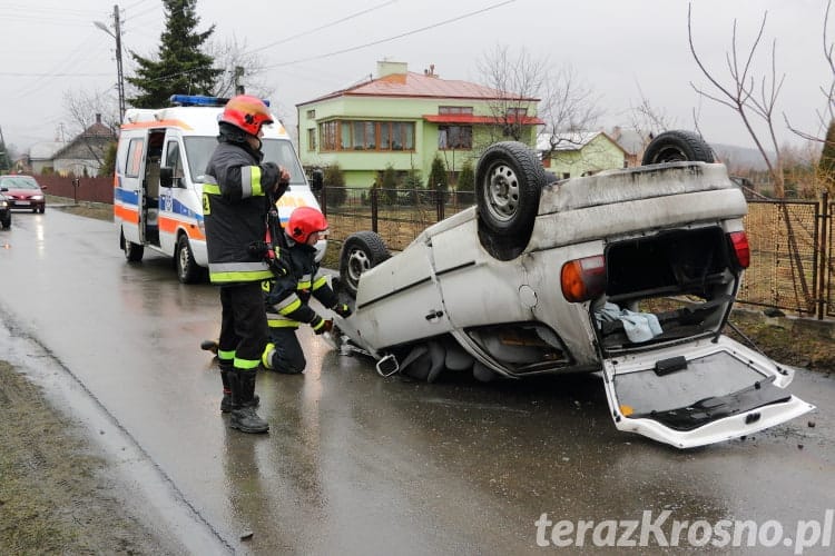 Dachowanie w Świerzowej Polskiej