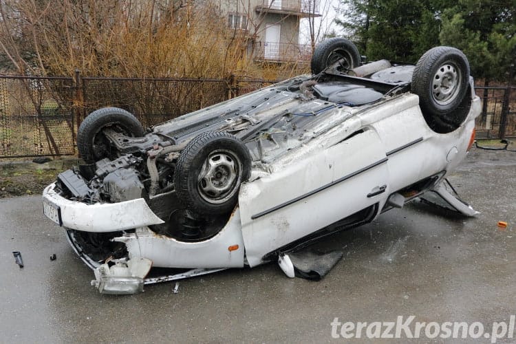 Dachowanie w Świerzowej Polskiej