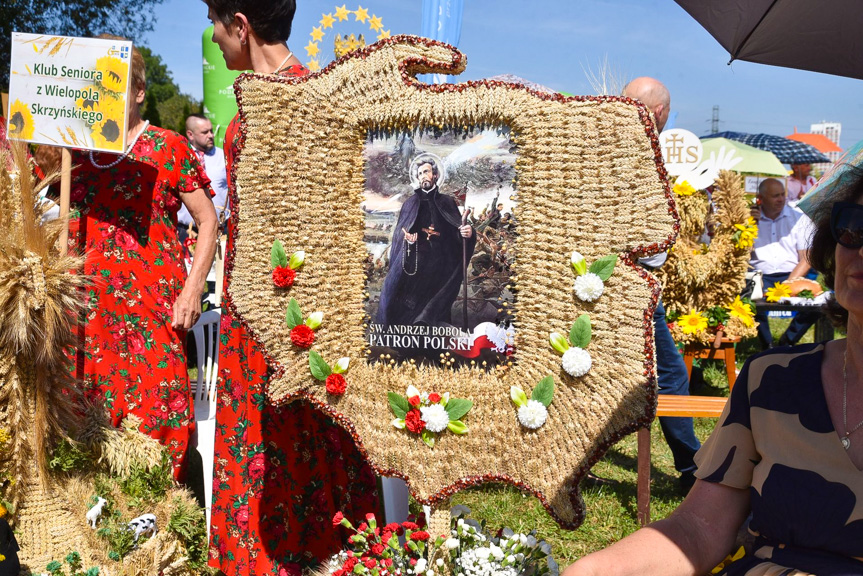 Diecezjalne i podkarpackie dożynki w Rzeszowie