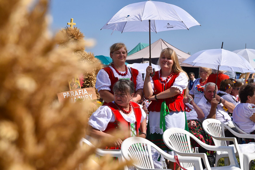 Diecezjalne i podkarpackie dożynki w Rzeszowie