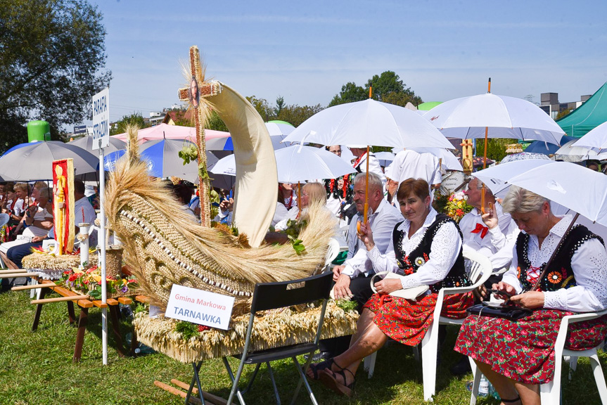 Diecezjalne i podkarpackie dożynki w Rzeszowie