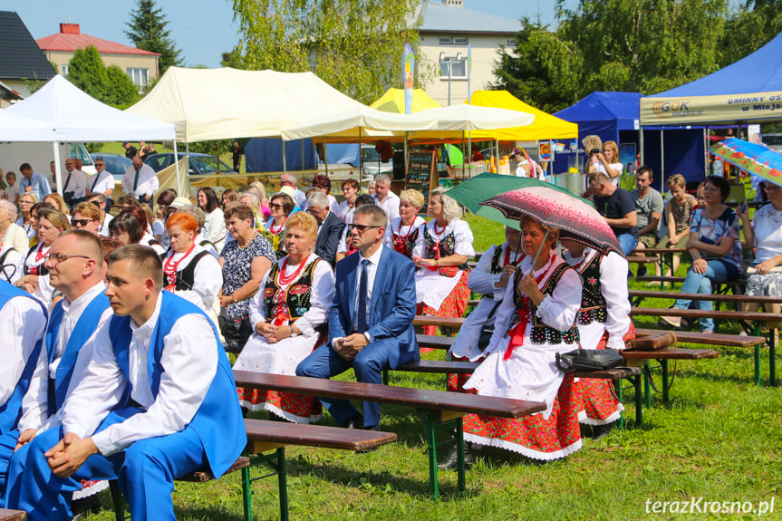 Dożynki gminne w Łężanach