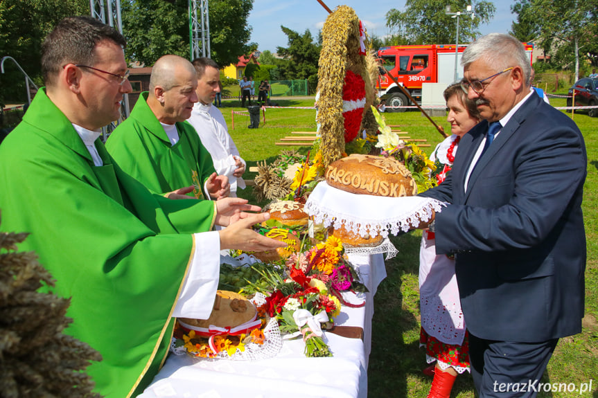 Dożynki gminne w Łężanach